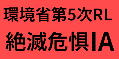 endangered species in Japan