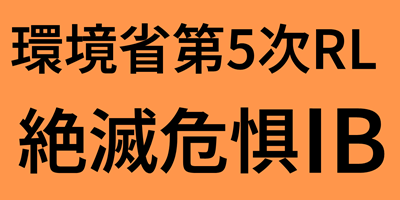 endangered species in Japan