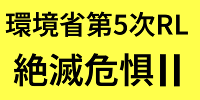 endangered species in Japan