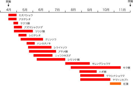 花・紅葉暦