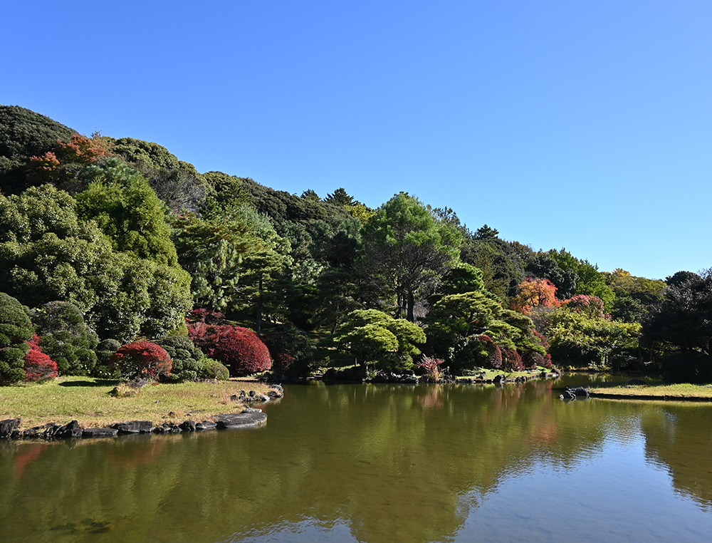 日本庭園