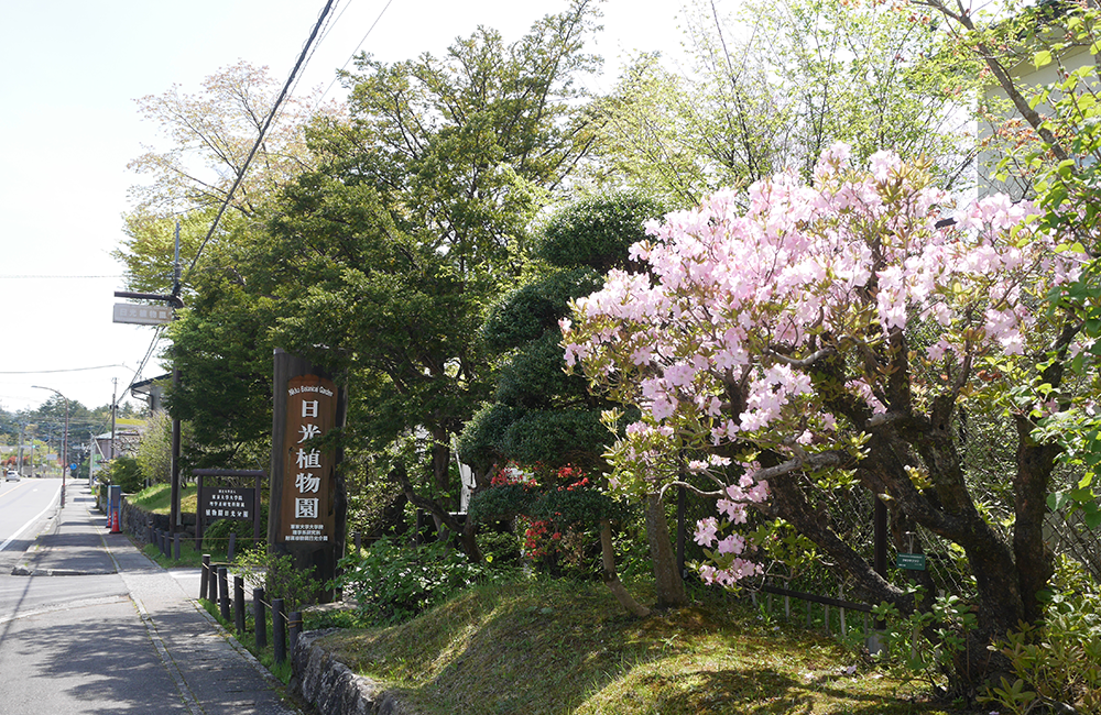 植物園